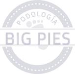 Logo de Podologia Big Pies, cliente de MARKA